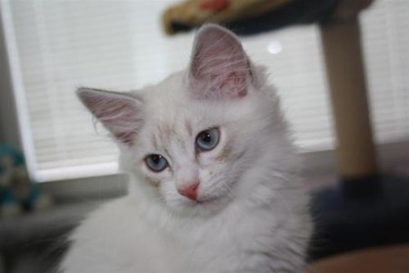 Nu är det dax - flyttar till Rävkullen